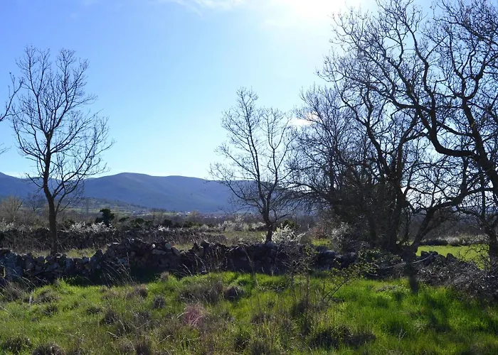 La Portada De Abajo 갈레고스