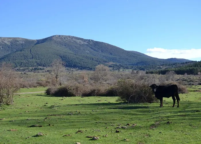 La Portada De Abajo * 갈레고스