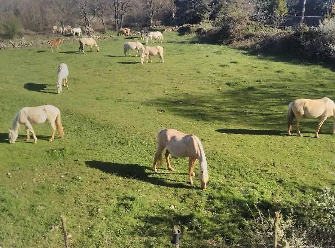 펜션 La Portada De Abajo 갈레고스